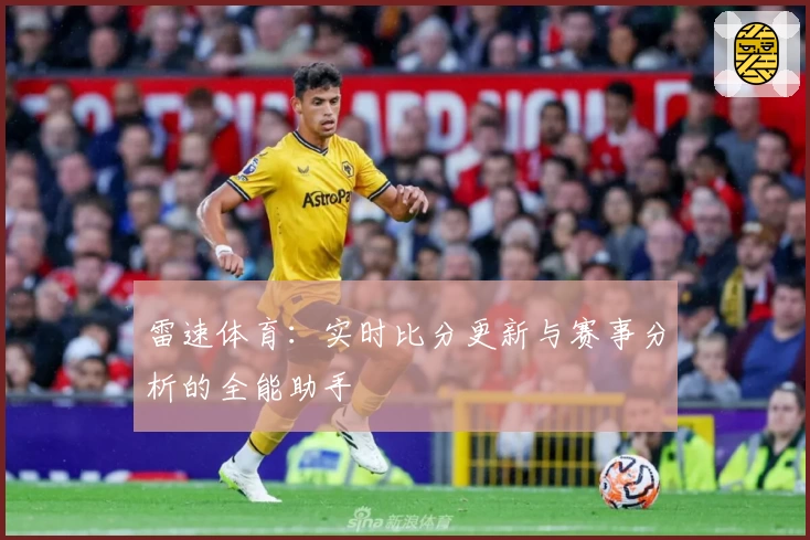 雷速体育：实时比分更新与赛事分析的全能助手